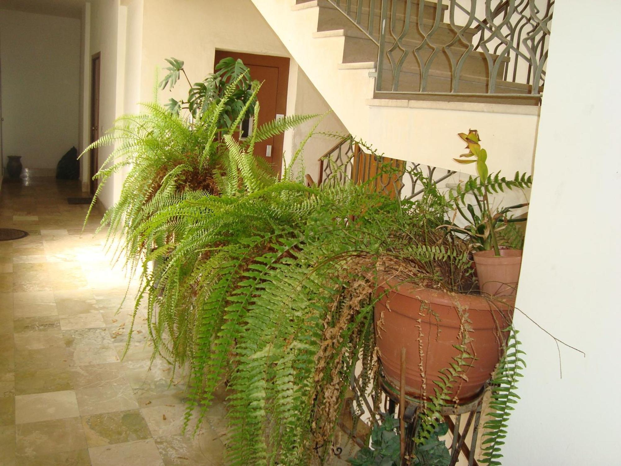 Antonio'S House Bed & Breakfast Agrigento Exterior photo